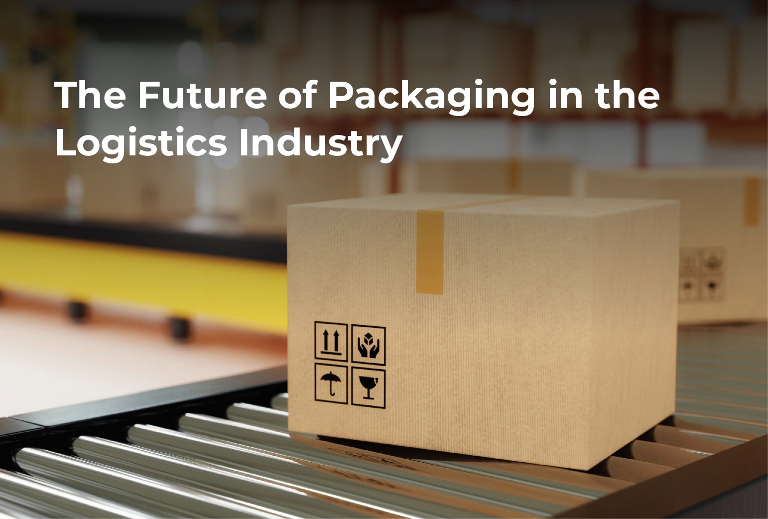 The Future of Packaging in the Logistics Industry