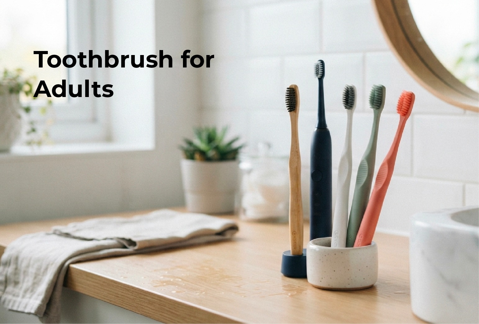 Toothbrush for Adults